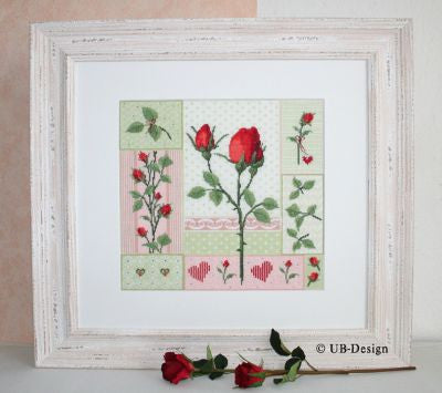 UB Design ~ Rosenfeuerwerk