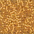 Mill Hill Frosted Seed Beads 62044 ~ Autumn  2.2mm