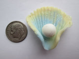 Needle Minder ~ Clay Shell with Pearl (Various Colors)