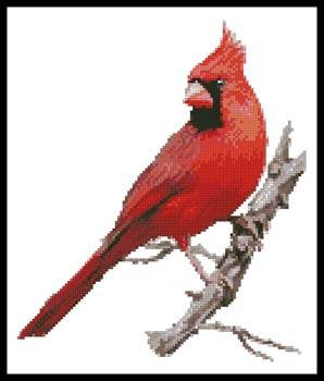 Artecy ~ Cardinal