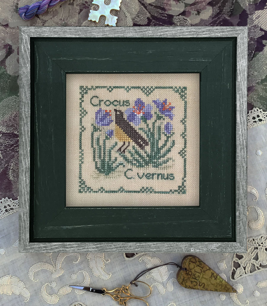 The Drawn Thread ~ BOTANICAL STITCHES - Crocus vernus - Crocus