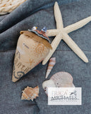 Erica Michaels Designs ~ Boardwalk Revue