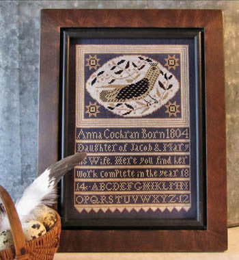 Kathy Barrick ~ Anna's Bird