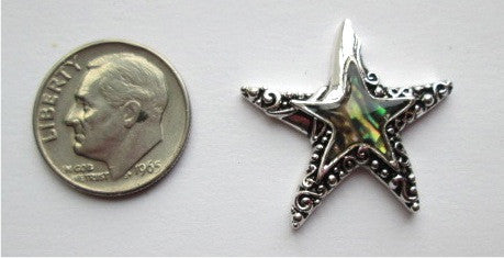 Needle Minder ~ Small Abalone Starfish